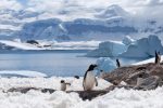 Covid-19 - Camada de ozono acima da Antártida recupera e trava alterações na região
