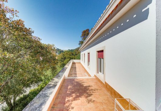 Quinta com 1,4 ha: um refúgio perto de Lisboa · 13