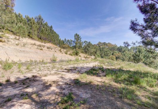 Quinta com 1,4 ha: um refúgio perto de Lisboa · 9